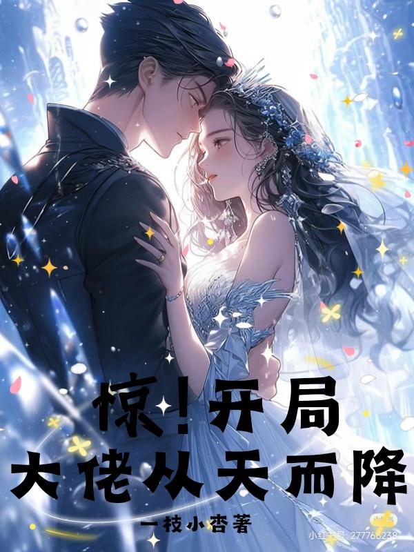 大佬舅舅从天而降小说
