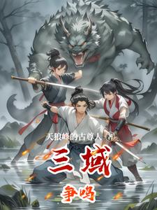 三域争呜