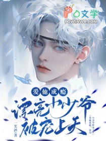 爱他成瘾，漂亮小少爷被宠上天