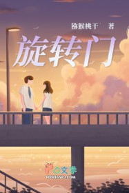 旋转门